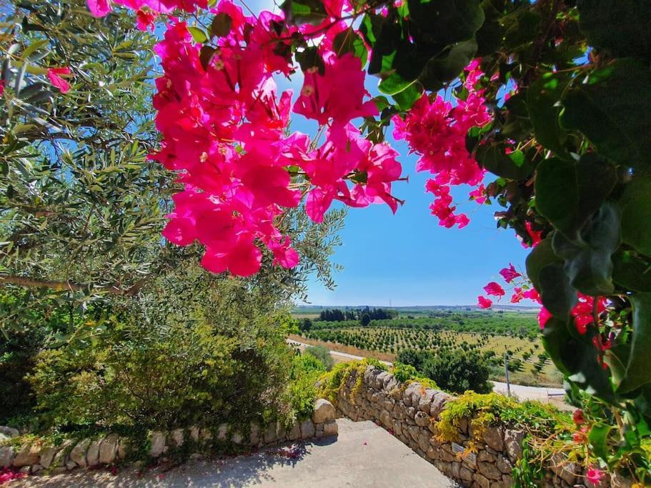 Villa Calma โนโต ภายนอก รูปภาพ