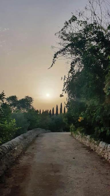 Villa Calma โนโต ภายนอก รูปภาพ